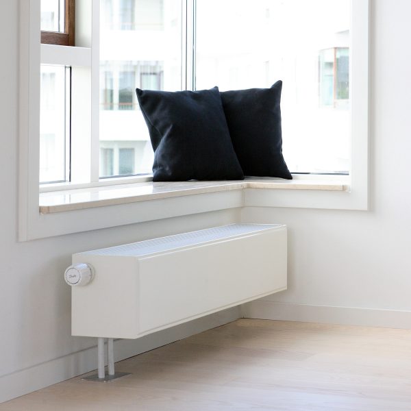 Fionia Lowline - Image 2