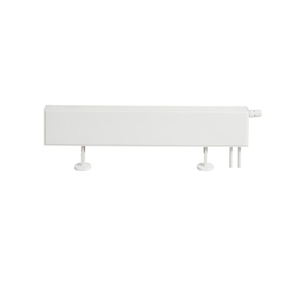 Fionia Lowline - Image 8