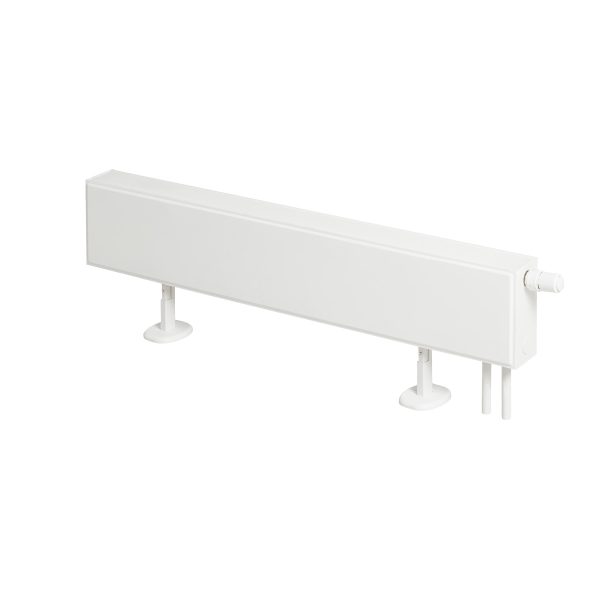 Fionia Lowline - Image 7