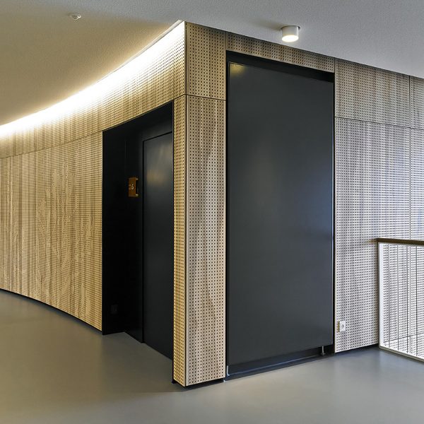 P5 Vertical - Image 6