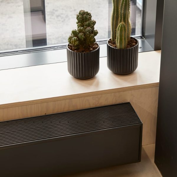Fionia Lowline radiator near window